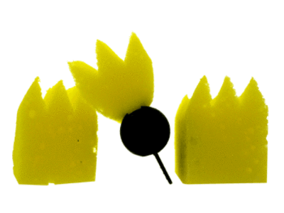 Eponge à Permanente + 2 Recharges