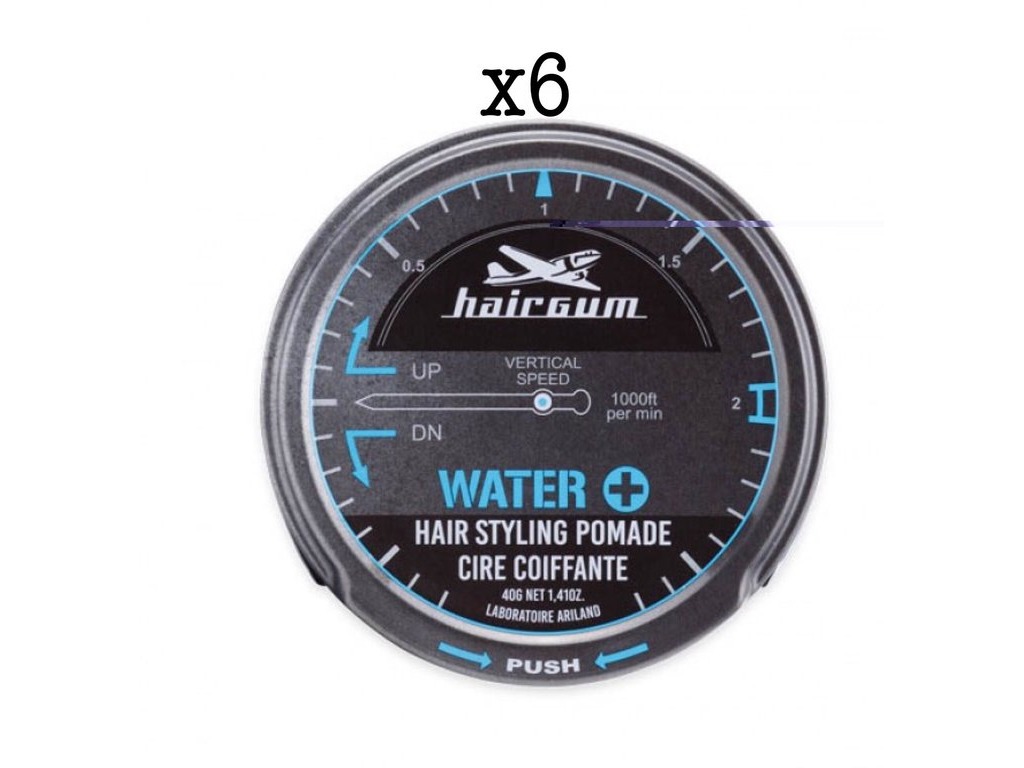 Lot de 6 Cires Coiffante Water+ Hairgum 40g
