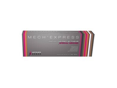Papier mches grand modle Mech'Express Jacques Seban x250